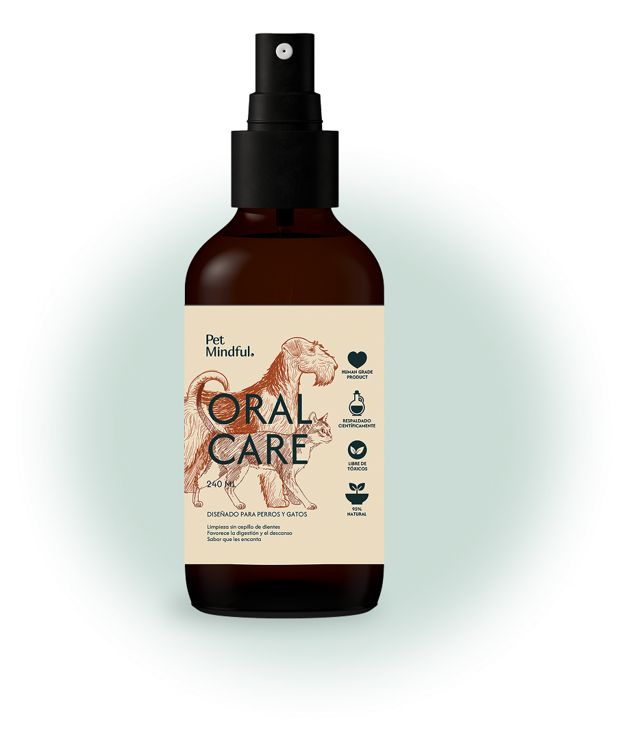 Oral Spray Travel Size 60mL