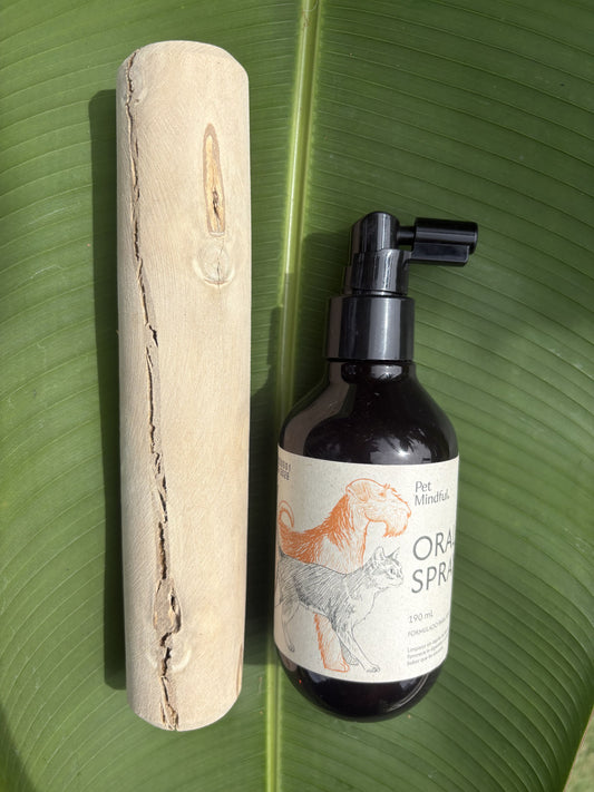 Kit de Salud Oral Básica