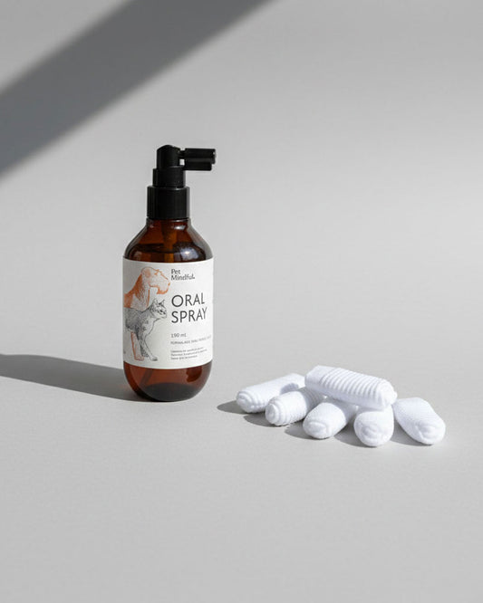 Kit de Cuidado Oral Para Encías Sensibles