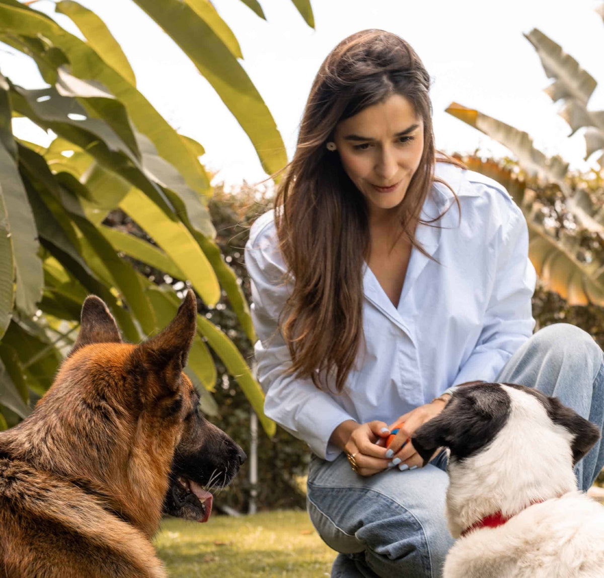 Andrea, fundadora de Pet Mindful, con sus perros