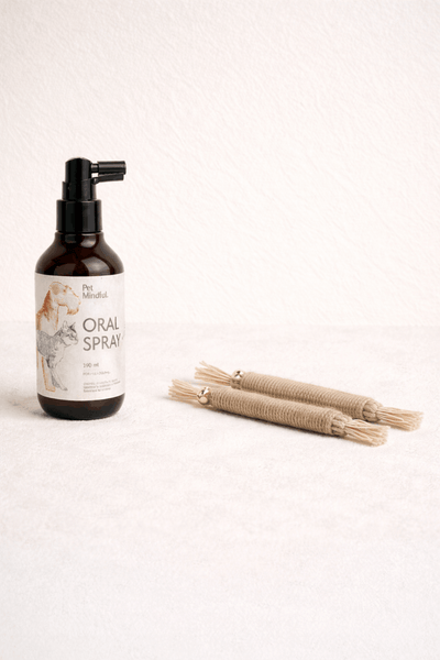 Kit de Salud Oral Básica para Gatos