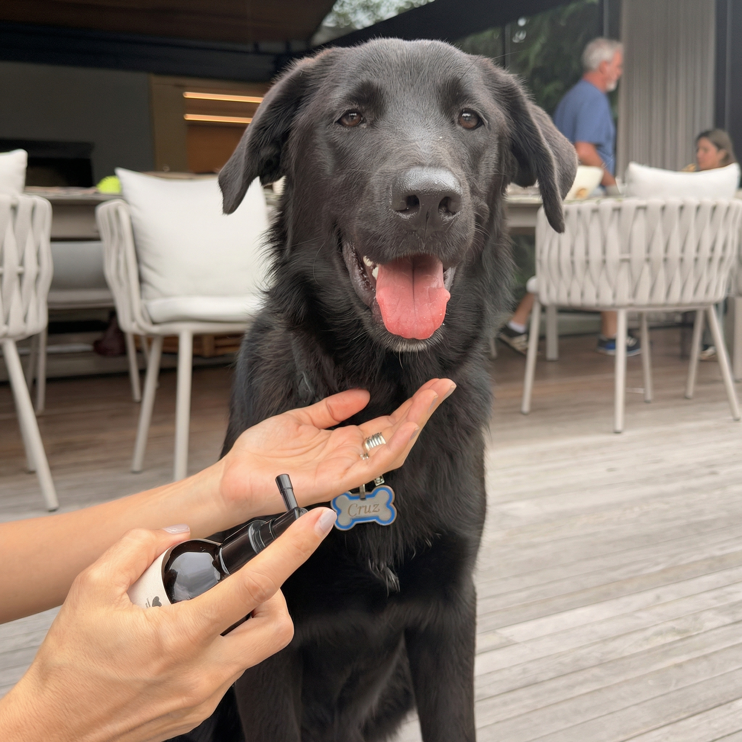 Kit de Salud Oral Básica