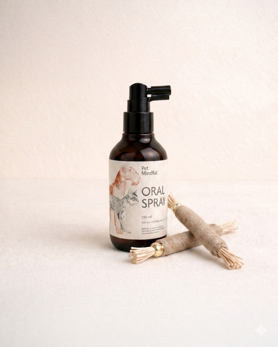 Kit de Salud Oral Básica para Gatos