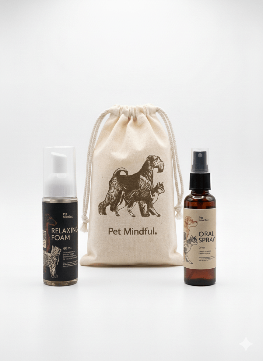 Kit Travel
