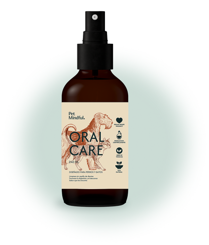 Oral Spray Travel Size 60mL