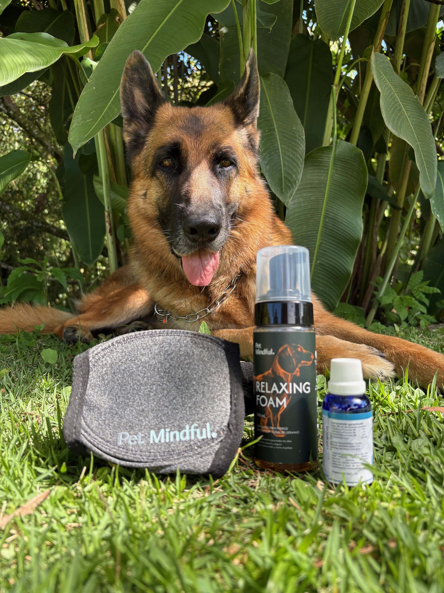 Kit Anti-Pólvora para Perros