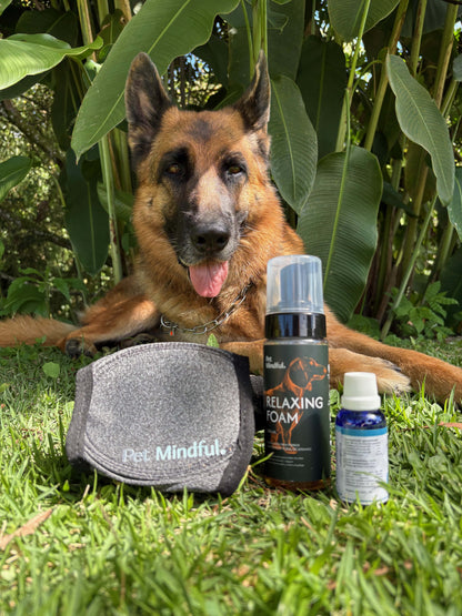 Kit Anti-Pólvora para Perros
