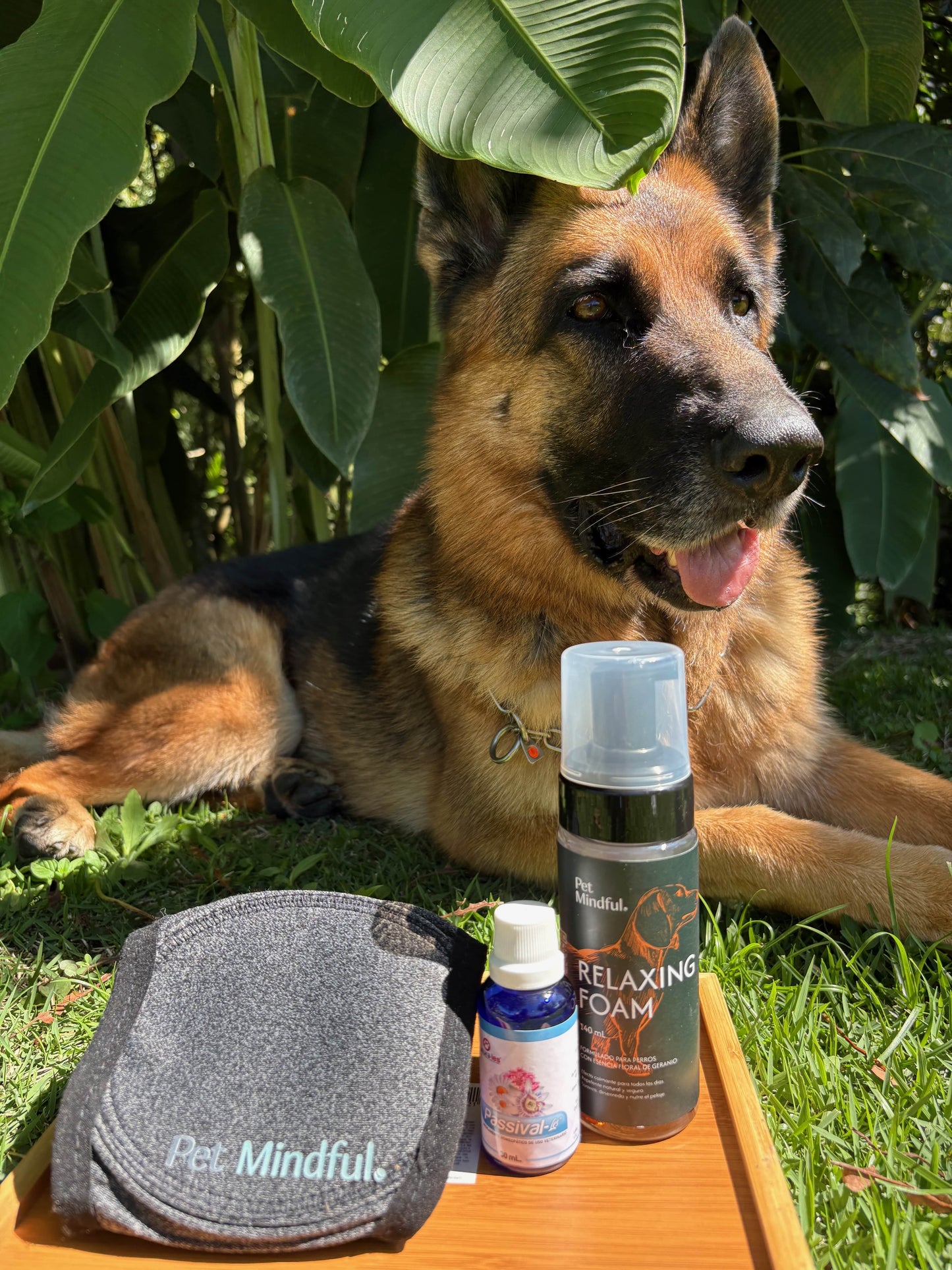Kit Anti-Pólvora para Perros