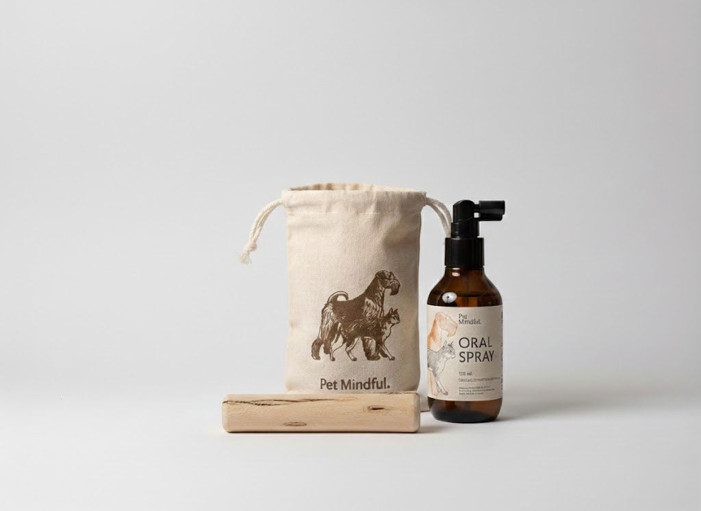 Kit Oral Prevención · Perro