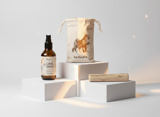 Kit De Salud Oral Para Perros