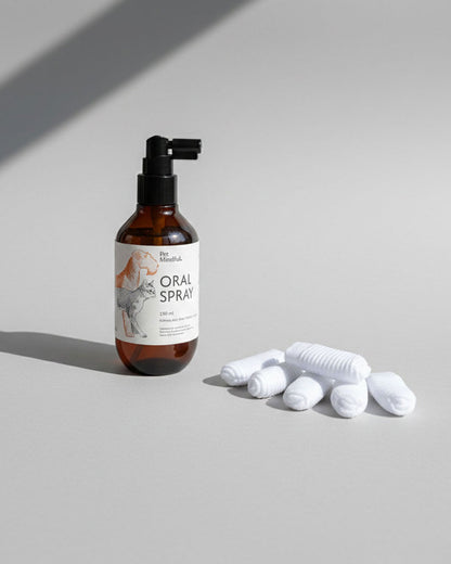 Kit de Cuidado Oral Para Encías Sensibles