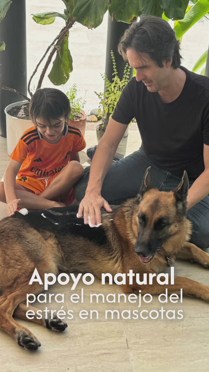 Relaxing Foam Para Perros