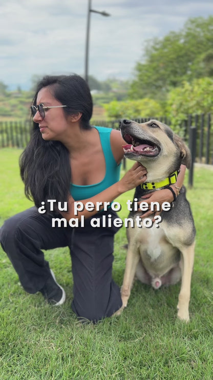 Spray Oral Natural Pet Mindful 190mL