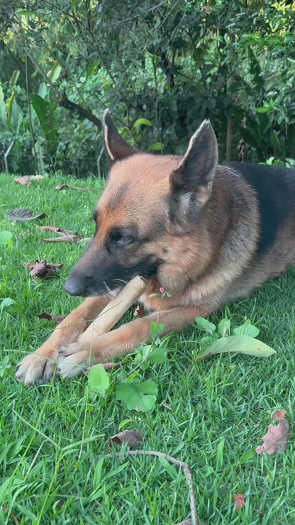 Kit de Salud Oral Básica